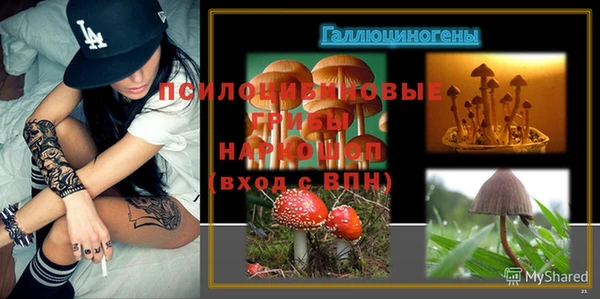 jwh Алзамай