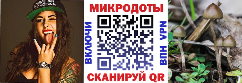 Галлюциногенные грибы GOLDEN TEACHER  блэк спрут ссылки  Салехард 
