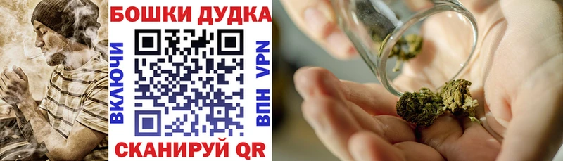 Конопля план Салехард